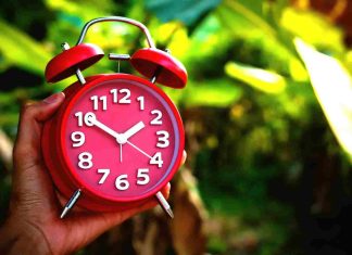 Heure Martinique : décalage horaire et infos essentielles