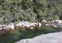 Forêt de Bonifatu : les plus beaux sentiers à découvrir forêt de bonifatu