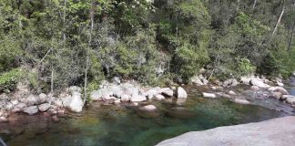 Forêt de Bonifatu : les plus beaux sentiers à découvrir forêt de bonifatu
