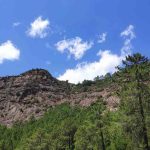 Forêt de Bonifatu : accès, parking et conseils pratiques forêt de bonifatu
