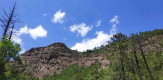 Forêt de Bonifatu : accès, parking et conseils pratiques forêt de bonifatu