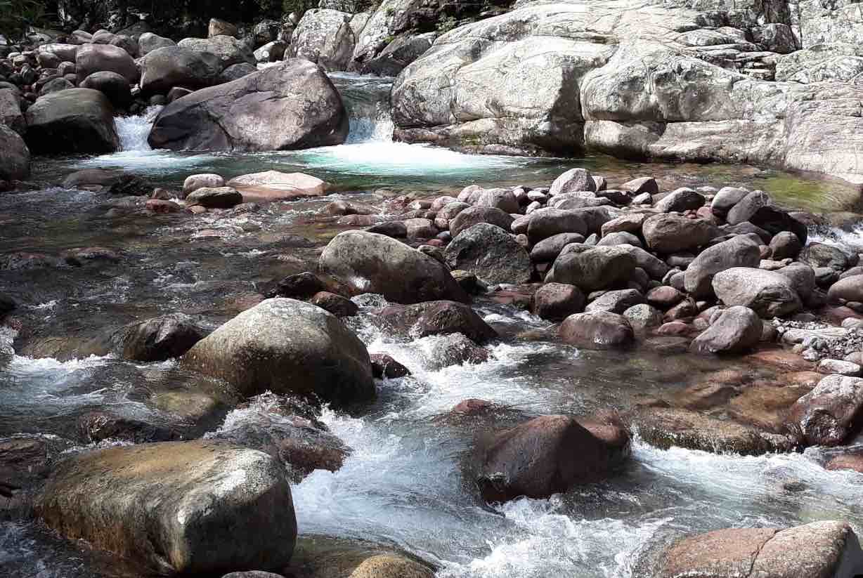 forêt de bonifatu